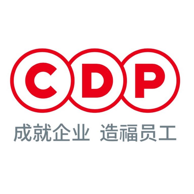 CDP集团