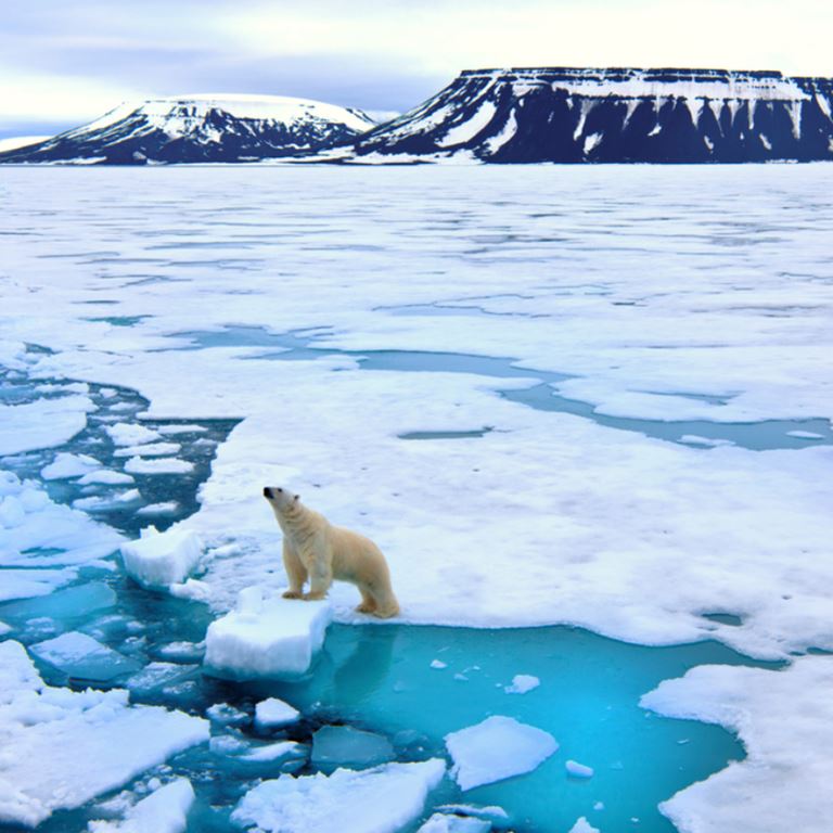斯匹次卑尔根和北极探险行程 Spitsbergen and Polar Bears