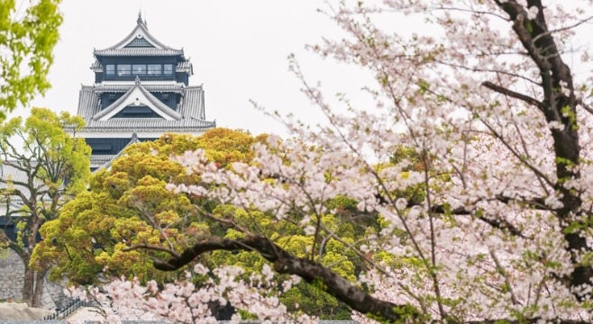暑期来了，航司却停飞日本航班