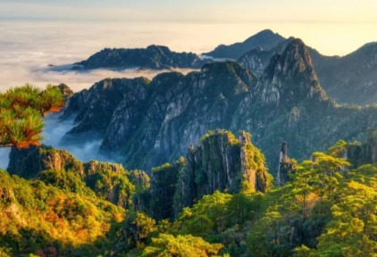 為什么游客數(shù)量創(chuàng)新高，景區(qū)生意卻更難做了？
