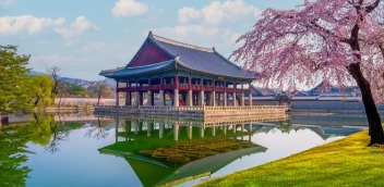 韩国对华免签放大招：细则背后的隐忧