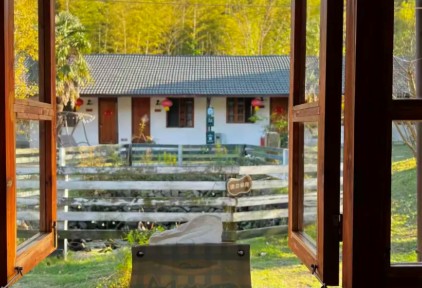 和花筑一起，开启宠物友好品质之旅