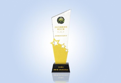 数智引领，行业共瞩！  雅里数科获德勤深圳高科技高成长“明日之星”殊荣