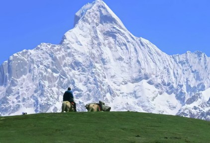 汉庭酒店，又给行业上了一课