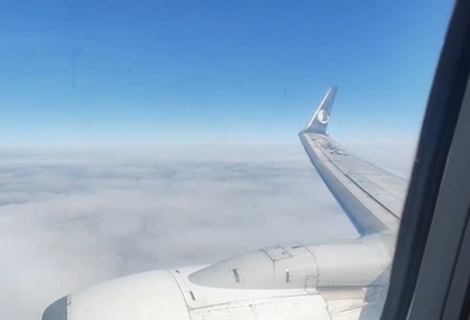 人生第一张机票，回家