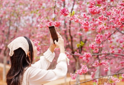 2026 Amadeus旅游愿景：治愈系旅行在中国旅行者中备受青睐