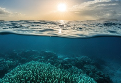 世界海洋日碧旅阁林聚焦全球珊瑚礁保护行动